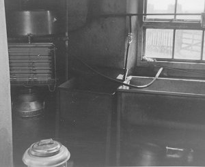 The dairy showing to the left the tank above the cooler that the milk had to be poured into, and a churn underneath filling.