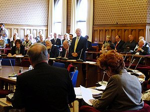 David speaking in the Grand Committee