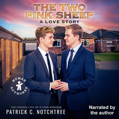 Audio cover