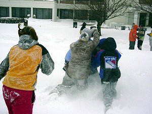 Some have fun in the snow