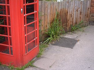 There was a post-box there, and a phone inside the box.